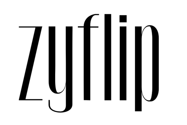 zyflip store 